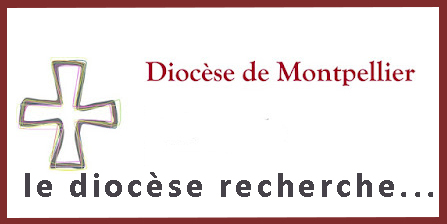 pavé Logo IDF copie